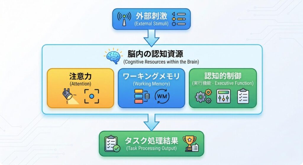 認知資源の構成要素：注意力・ワーキングメモリ・認知的制御
