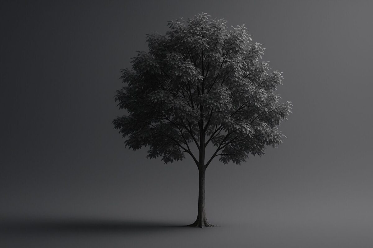 「落葉高木」の読み方は?意味と特徴をサクッと解説